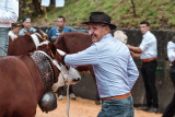Foire cantonale aux vaches_Manigod