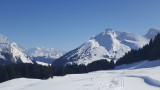 CozyFrance