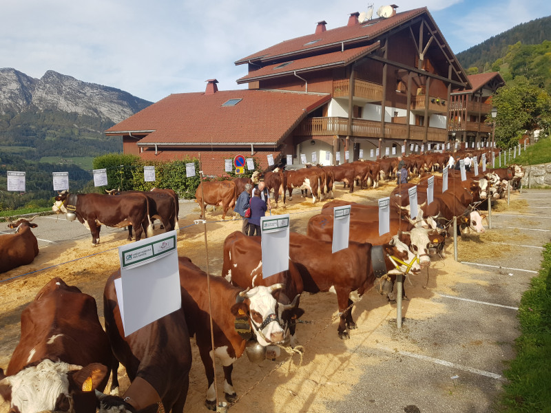 Foire agricole communale