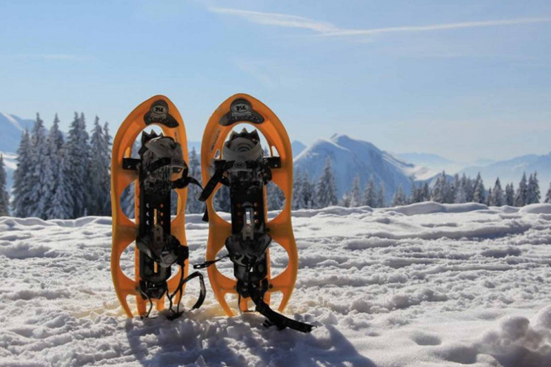Raquettes à neige