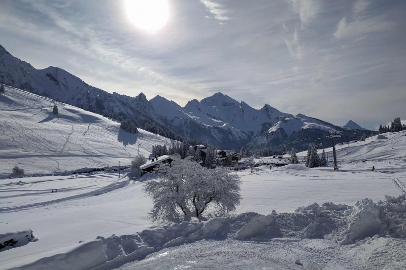 Chalet Fleur des neiges