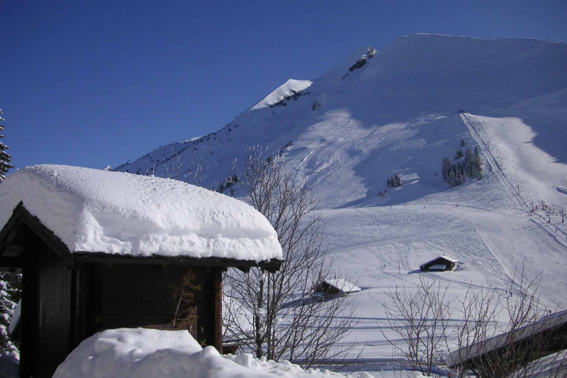 Studio dans chalet Moulin à vent