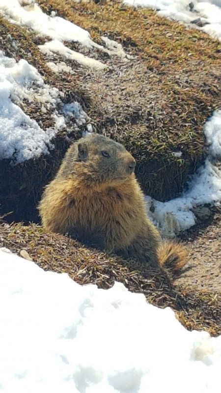 Randonnées avec Cathy
