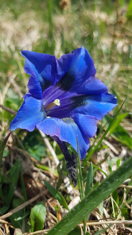 Randonnées avec Cathy