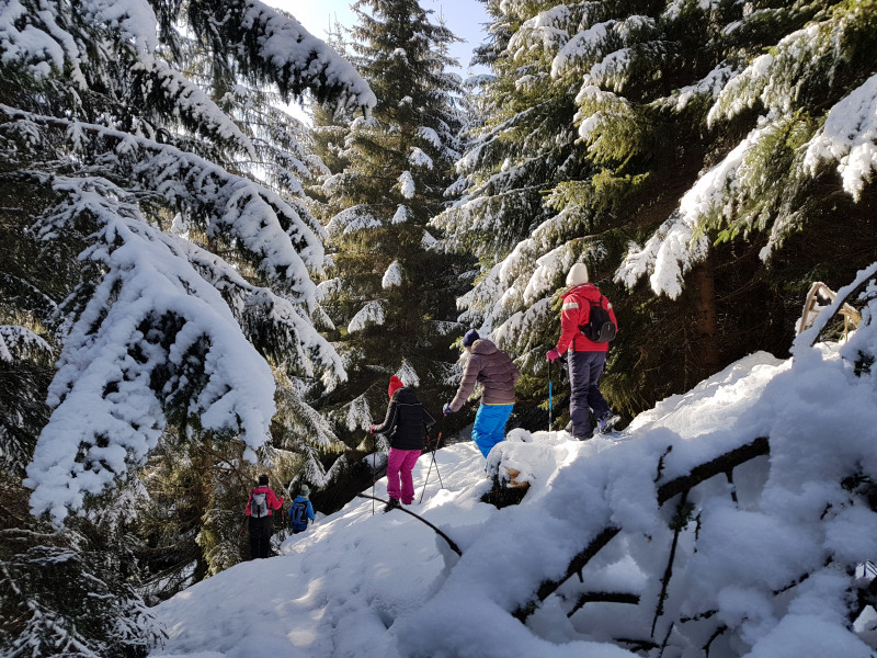 Raquettes à neige