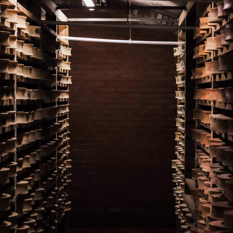 Visite des caves d'affinage Paccard_Manigod