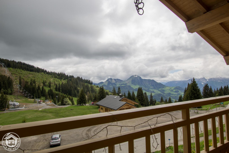 28906067.jpg.jpg 28906067.jpg.jpg