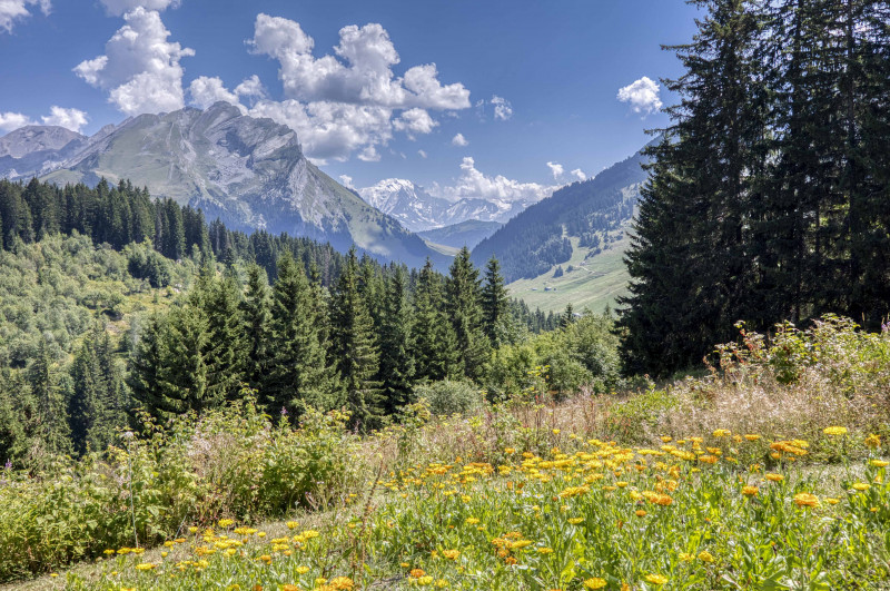 Chalet Marguerite_Manigod