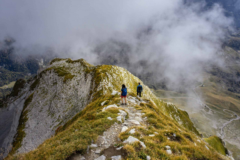 Randonnée pédestre