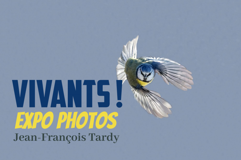 Wildlife photography exhibitions_Manigod