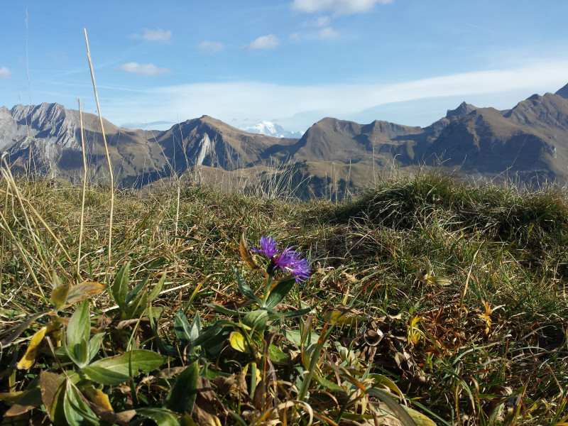 Sortie guidée Natura 2000 