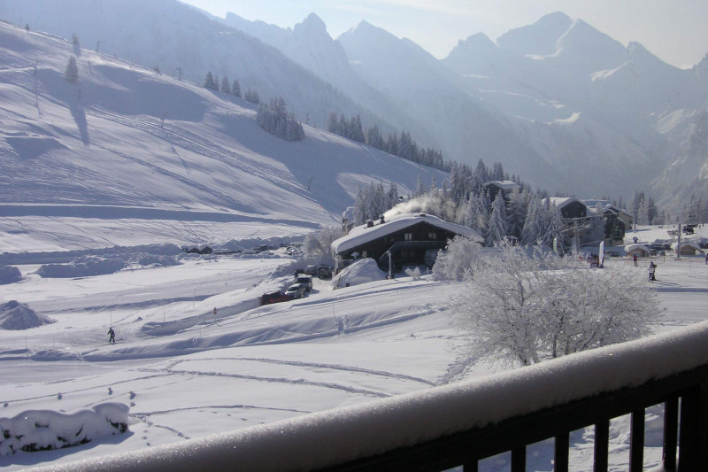 Chalet Fleur des neiges